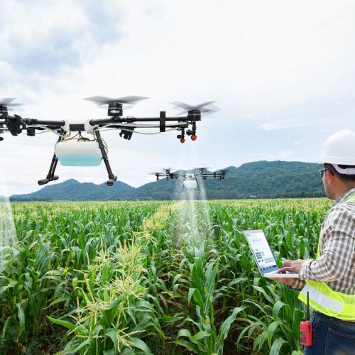 Startups Agro: Inovação e Tecnologia no Campo
